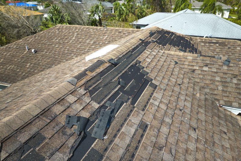 Timely Roof Repairs